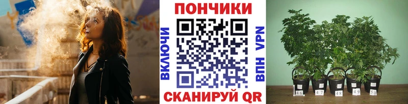хочу Карабаново Шишки марихуана Bruce Banner